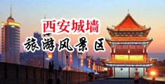 无遮挡日韩插鸡小穴操鸡巴视频网站中国陕西-西安城墙旅游风景区